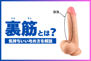 ちんこの裏筋とは？どこ？気持ちいい攻め方を解説