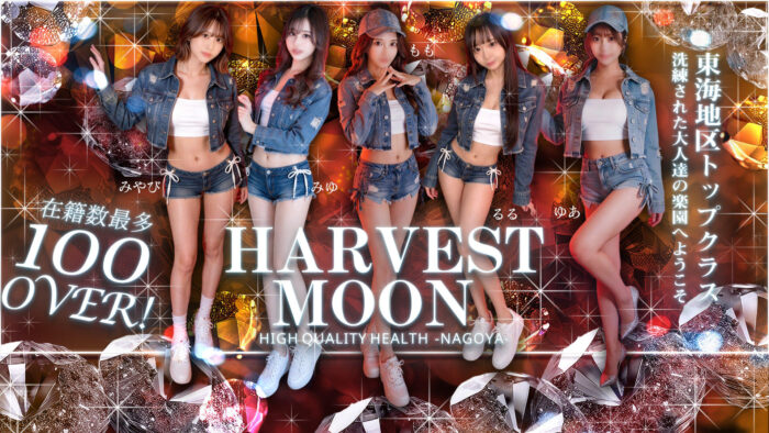 HARVESTMOON(ハーベストムーン)